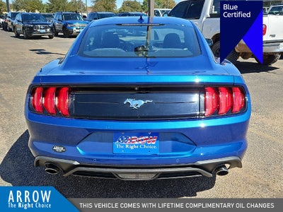 2023 Ford Mustang EcoBoost