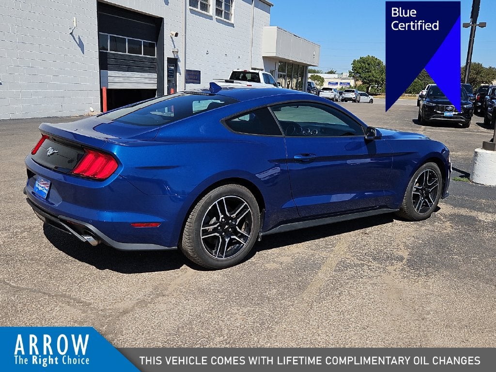 2023 Ford Mustang EcoBoost