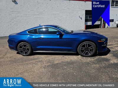 2023 Ford Mustang EcoBoost