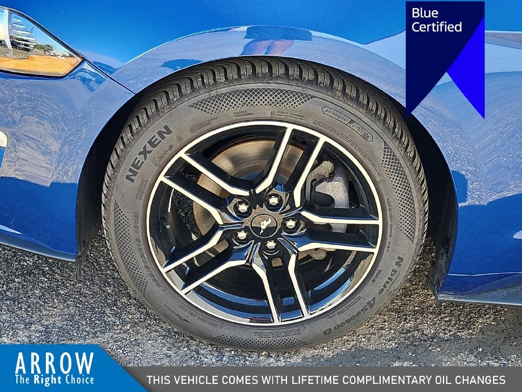 2023 Ford Mustang EcoBoost