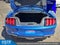 2023 Ford Mustang EcoBoost