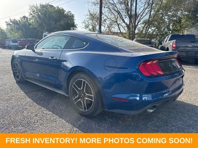 2023 Ford Mustang EcoBoost