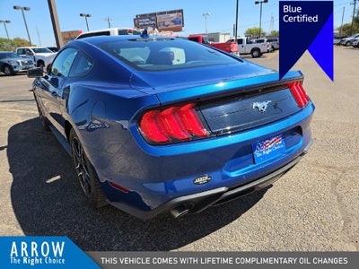 2023 Ford Mustang EcoBoost
