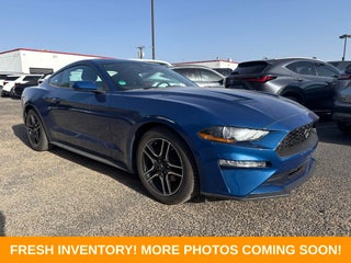 2023 Ford Mustang EcoBoost