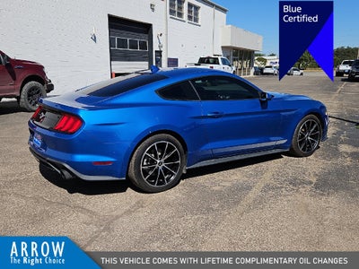 2021 Ford Mustang EcoBoost