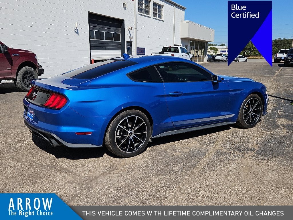 2021 Ford Mustang EcoBoost