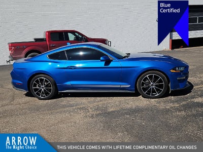 2021 Ford Mustang EcoBoost