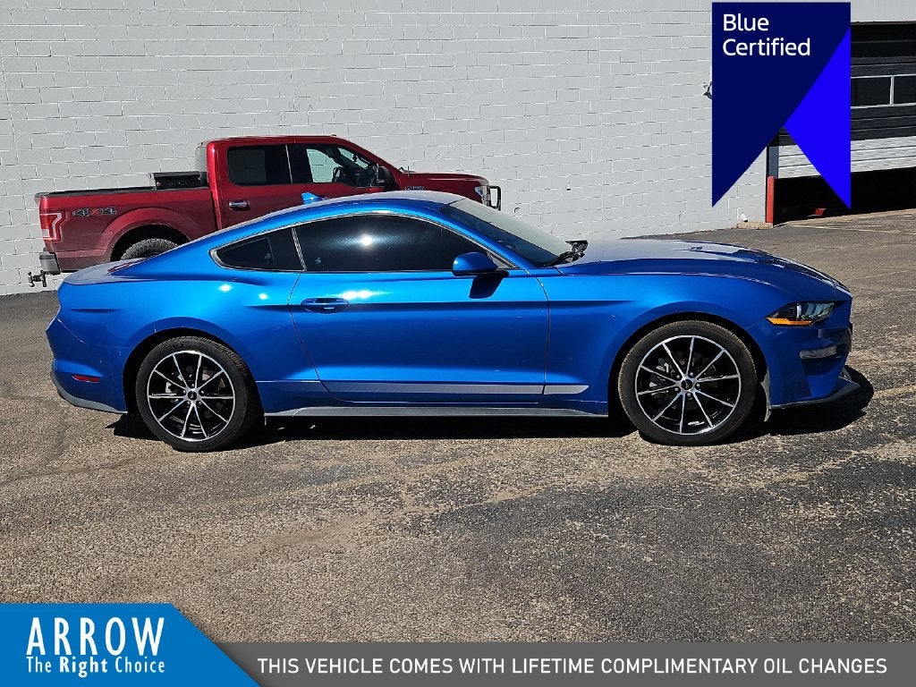 2021 Ford Mustang EcoBoost