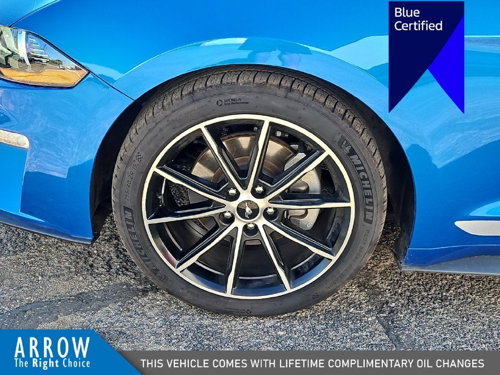 2021 Ford Mustang EcoBoost