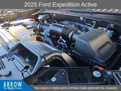 2025 Ford Expedition Active