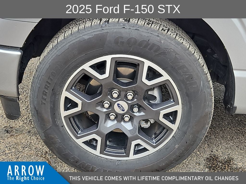2025 Ford F-150 STX
