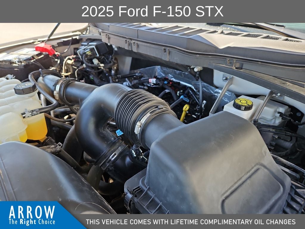 2025 Ford F-150 STX