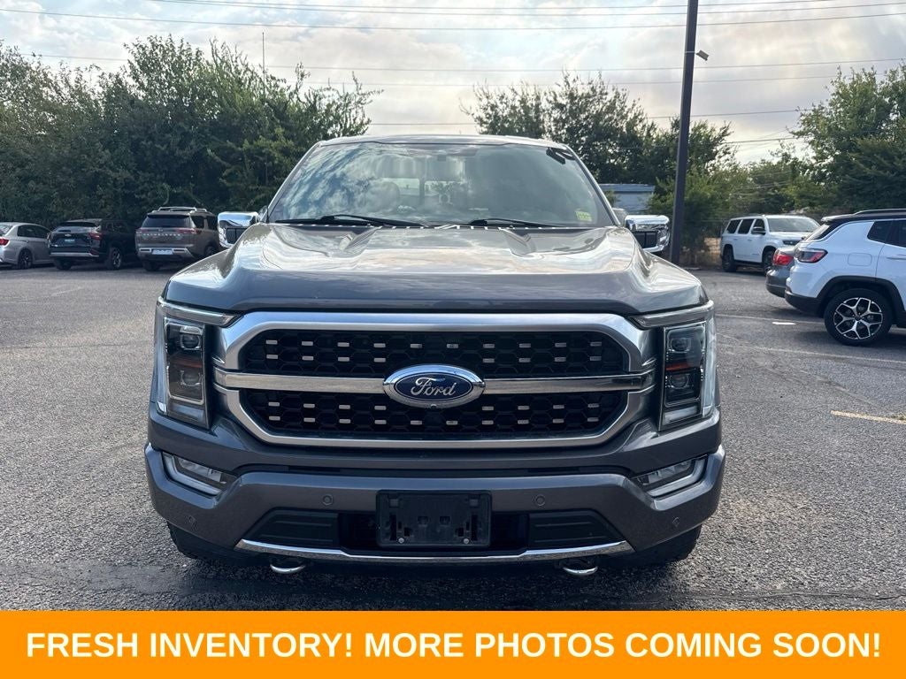 2021 Ford F-150 Platinum