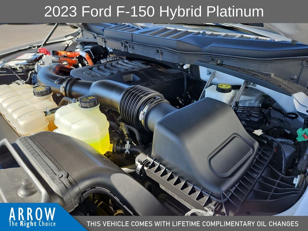 2023 Ford F-150 Platinum