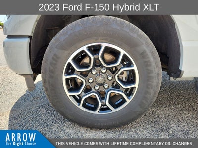2023 Ford F-150 XLT