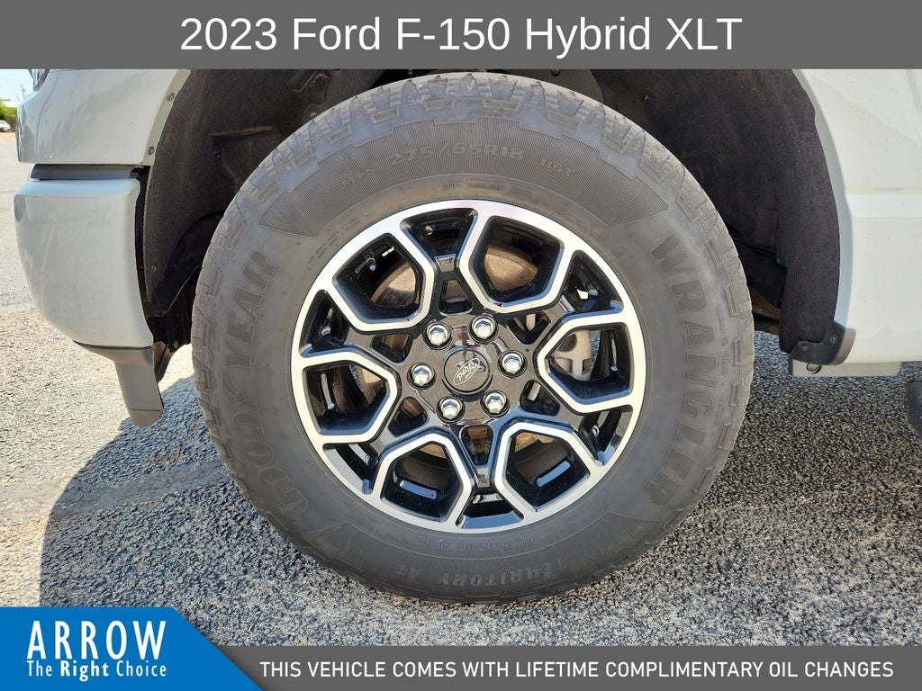 2023 Ford F-150 XLT