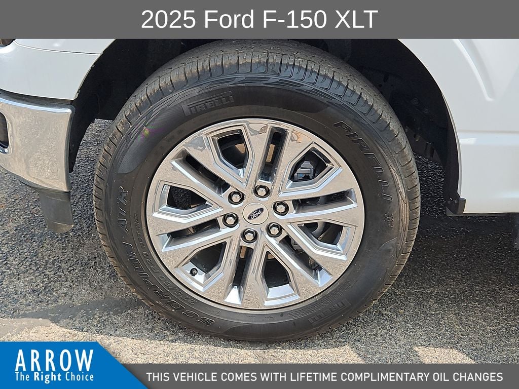 2025 Ford F-150 XLT
