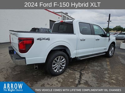 2024 Ford F-150 XLT