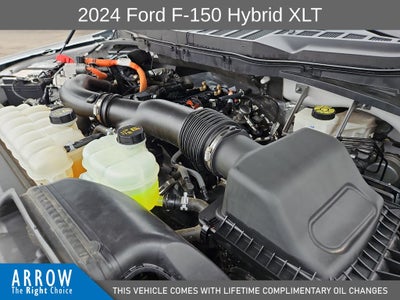 2024 Ford F-150 XLT