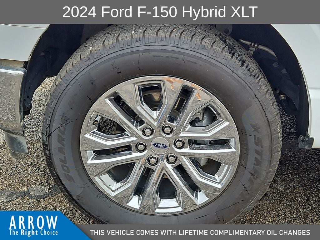 2024 Ford F-150 XLT