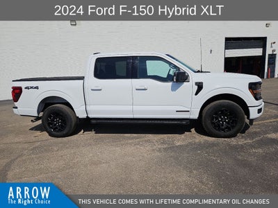 2024 Ford F-150 XLT