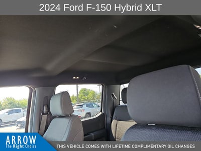 2024 Ford F-150 XLT