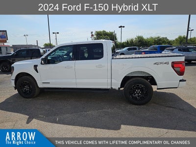 2024 Ford F-150 XLT