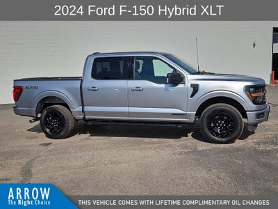 2024 Ford F-150 XLT