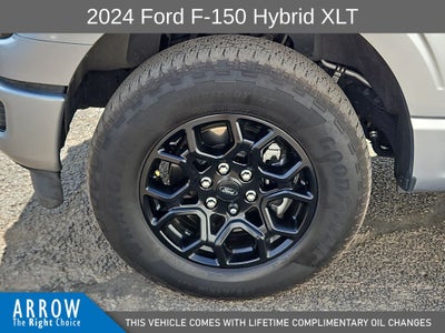 2024 Ford F-150 XLT