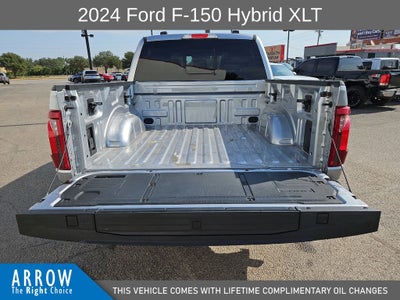 2024 Ford F-150 XLT