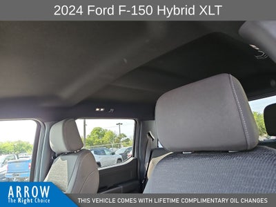 2024 Ford F-150 XLT