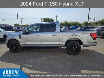 2024 Ford F-150 XLT