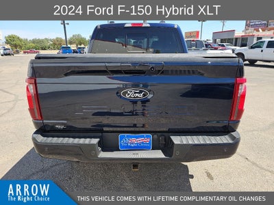 2024 Ford F-150 XLT