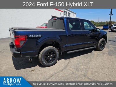 2024 Ford F-150 XLT