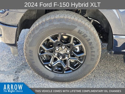 2024 Ford F-150 XLT