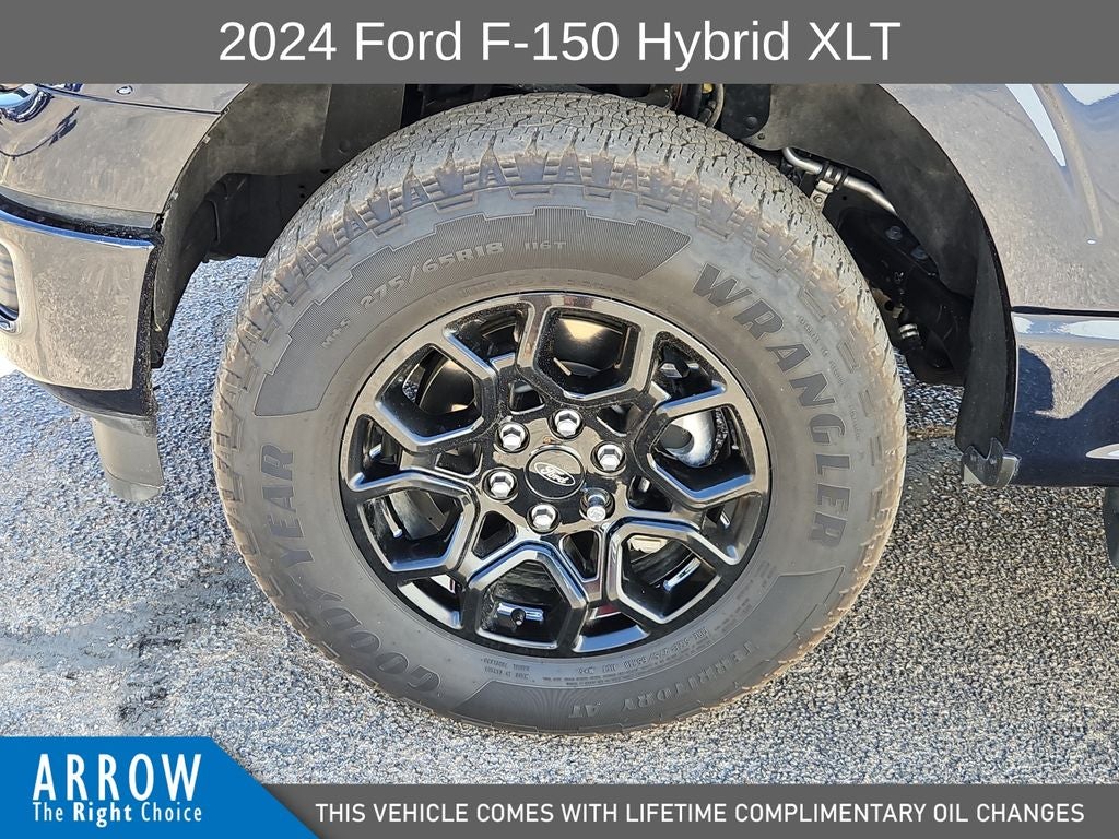 2024 Ford F-150 XLT