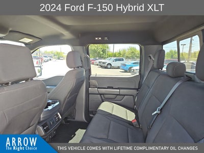 2024 Ford F-150 XLT