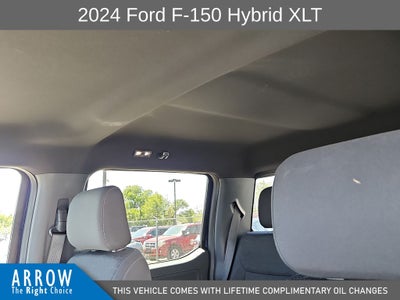 2024 Ford F-150 XLT