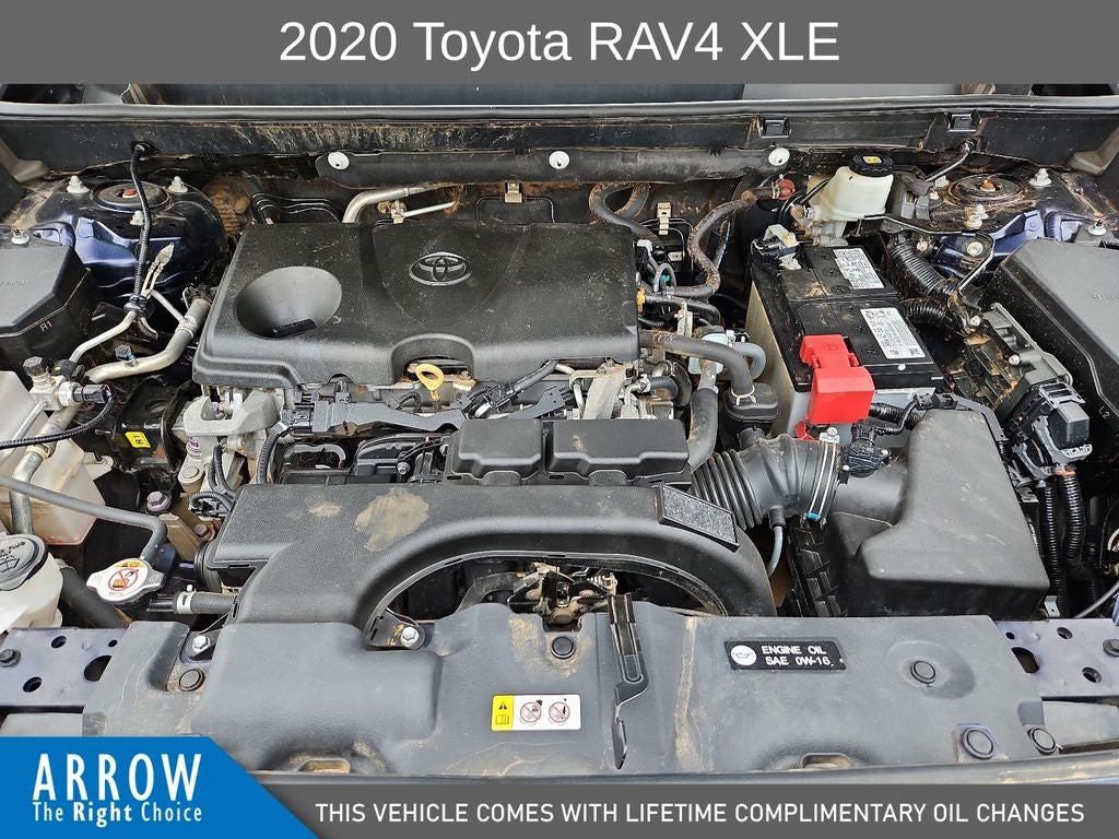 2020 Toyota RAV4 XLE