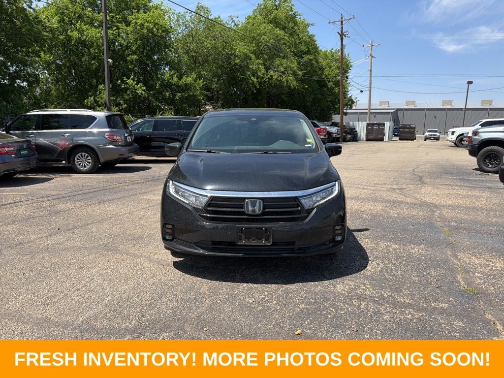 2024 Honda Odyssey Elite