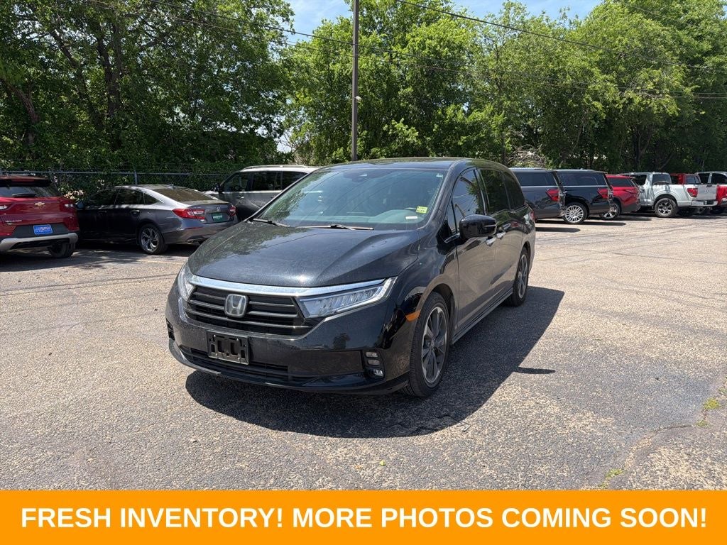 2024 Honda Odyssey Elite