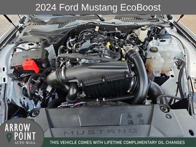 2024 Ford Mustang EcoBoost