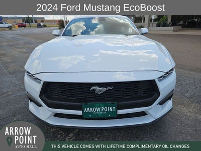 2024 Ford Mustang EcoBoost