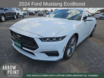 2024 Ford Mustang EcoBoost