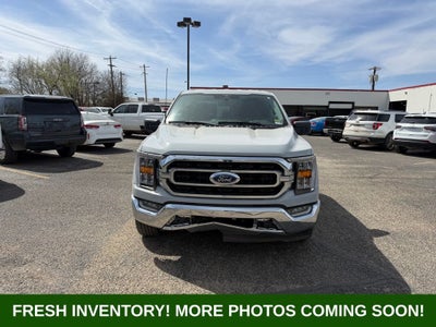 2023 Ford F-150 XLT