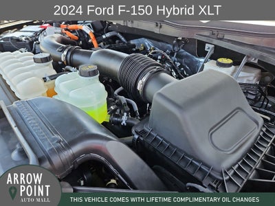 2024 Ford F-150 XLT