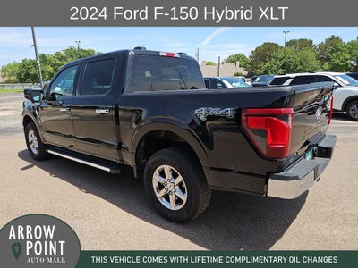 2024 Ford F-150 XLT
