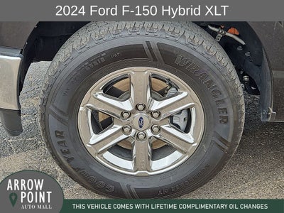 2024 Ford F-150 XLT