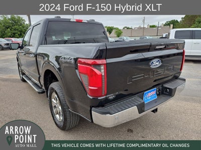 2024 Ford F-150 XLT