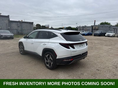 2024 Hyundai Tucson Limited